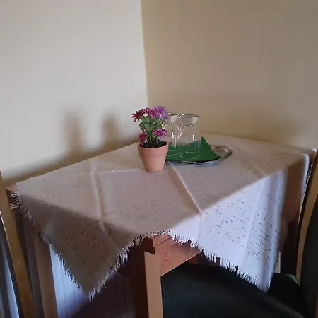 Iluska Vendeghaz Έγκερ